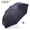 Men's and Women's Classic Plaid Paradise Umbrella
