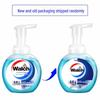 Walch Healthy Care Antibacterial Foaming Hand Soap