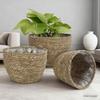 Creative Straw Woven Flower Basket for Green Plants - Living Room or Balcony Decoration