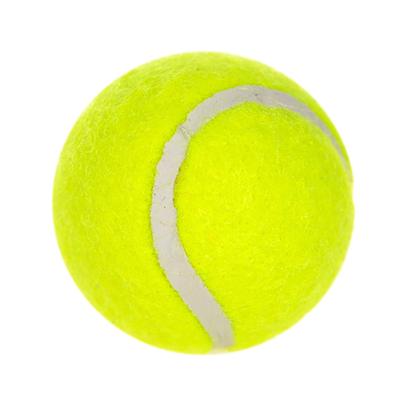 6 stuks Huisdier Tennis Hond Speelgoed Pitching Knikkerkast Werpen Bal Lopen Hond Werpen Bal Tennis