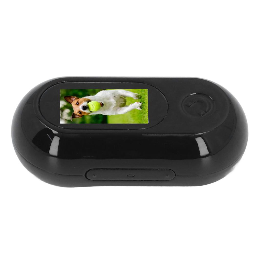 Pet Collar Camera 120 Deg Lens OTG Connection Video Recording   Magnetic Cat Sport Camera for Outdoor