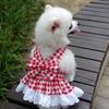 Pet JK plaid skirt chest strap leash walking dog cat vest clothes teddy magic fighting supplies