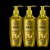 Ginger Essence Oil Control Shampoo