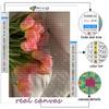 5D Diy Diamond Painting Flowers Tulips Cross Stitch Full Diamond Embroidery Mosaic