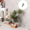 Artificial Pine Plant Miniature For Dollhouses Scene Plastic Pine Toy Accessory Retro Life Scene Photo Props