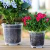 Orchid Repotting Supplies Clear Plastic Pot with Saucer, Plant Pots Drainage Holes, Ventilated Flower for Rose, Phalaenopsis, Seedings Indoor