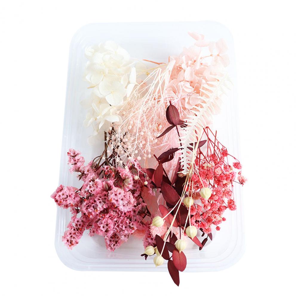 1 Box DIY Aromatherapy Candle Molds Dried Flowers Dry Plants Preserved Flower for Epoxy Resin Casting Mold Crafts Tools