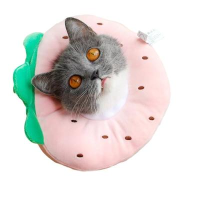 Pisici – Produse pentru îngrijirea pisicilor