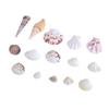 Floating Seashells Display Box Large-capacity Seashells Decorative Storage Box for Home and Beach Decoration
