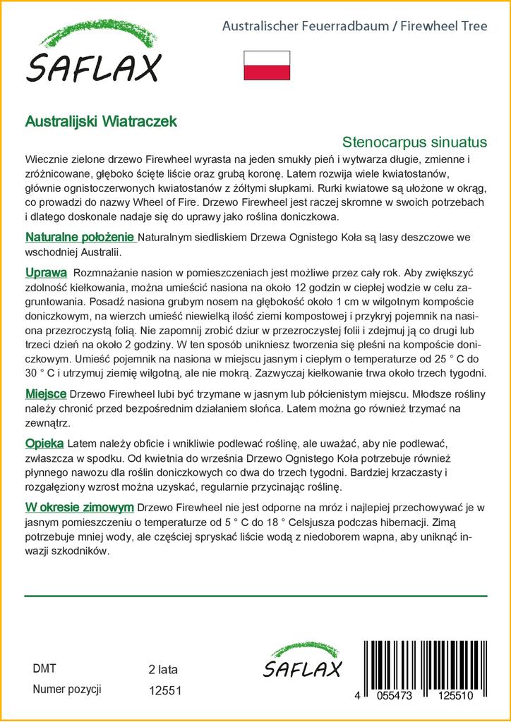 SAFLAX Firewheel Tree - 20 semen - Se substrátem pro lepší pěstování - Stenocarpus sinuatus