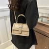 Black White Khaki Blue Brown Korean Style Fashion Handbag 2024 Spring Small Square Bag