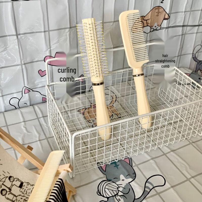 Sinle Professional Hair Comb & Brush Collection
