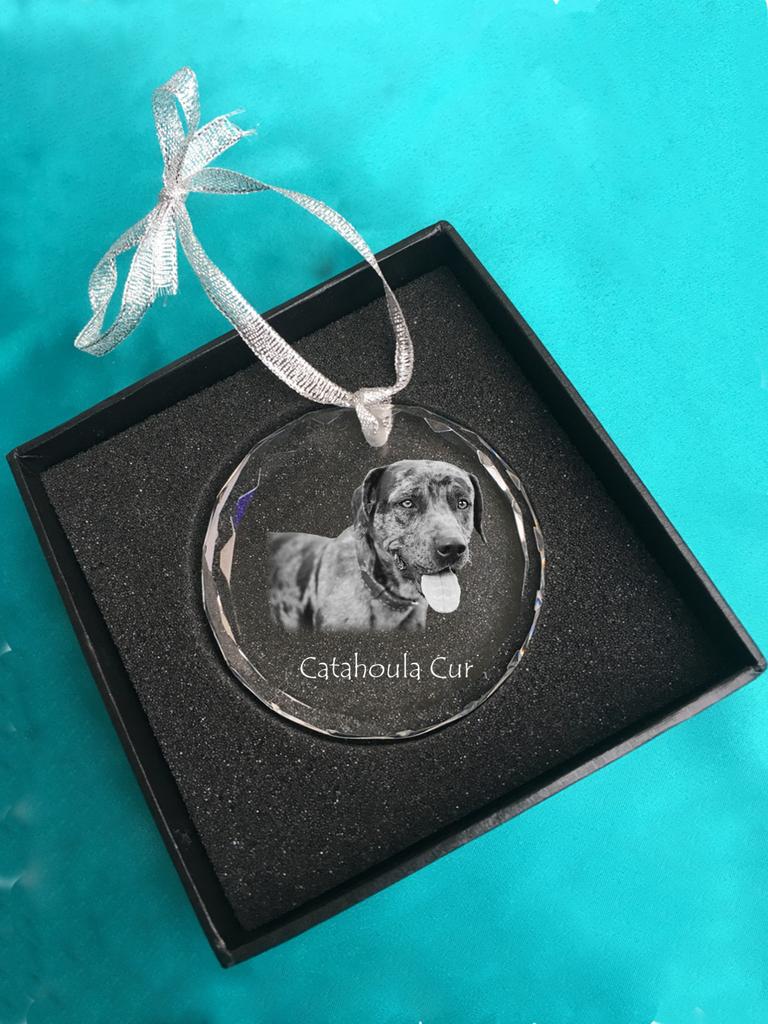 Catahoula Leopard Dog, Catahoula Cur - crystal bauble with a photo, dog photo in crystal, personalized Christmas tree ornament by Art-Dog brand