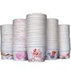 Okaywife Disposable Paper Bowls, 750 Series (300 Count)