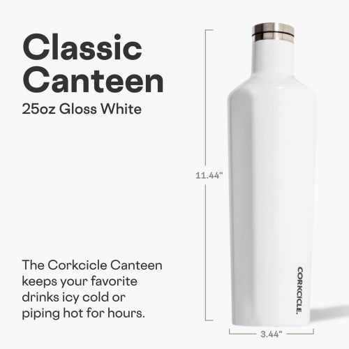 Corkcicle Vinnebago Insulated Stainless Steel Bottle/Thermos, 25 Oz, White, 2025GW
