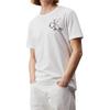 Calvin Klein Letter Logo Print Round Neck Short Sleeve T-Shirt Men Tops White J30J325498-YAF