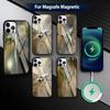 Huse pentru telefoane – Huse tip bumper pentru telefon