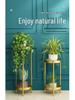 Elegant Multi-Tier Wrought Iron Indoor Plant Stand for Balcony or Living Room