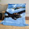 High-quality How to Train Your Dragon Toothless themed printed blanket. Soft and comfortable, a perfect gift for  friends.