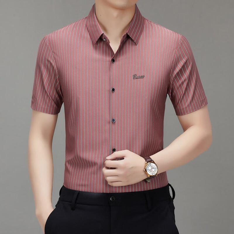 RED DRAGONFLY Men's Short-Sleeve Business Striped Shirt