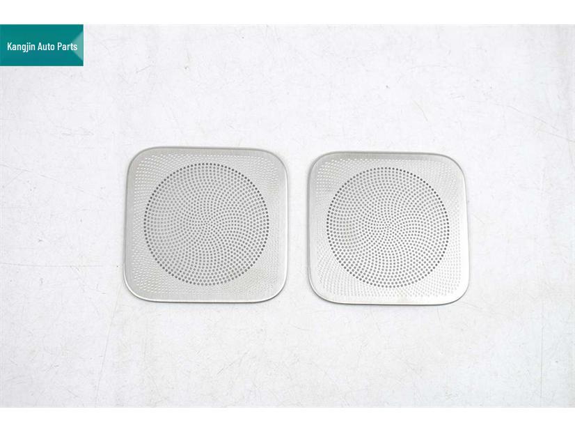 Leopard 25 Model Front Panel Roof Speaker Cover - Titanium Silver Stainless Steel Interior