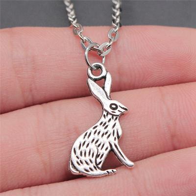 Pet Dog Cat Necklace On The Neck 43cm Chain Male Jewellery Birthday Aesthetic Art Supplies
