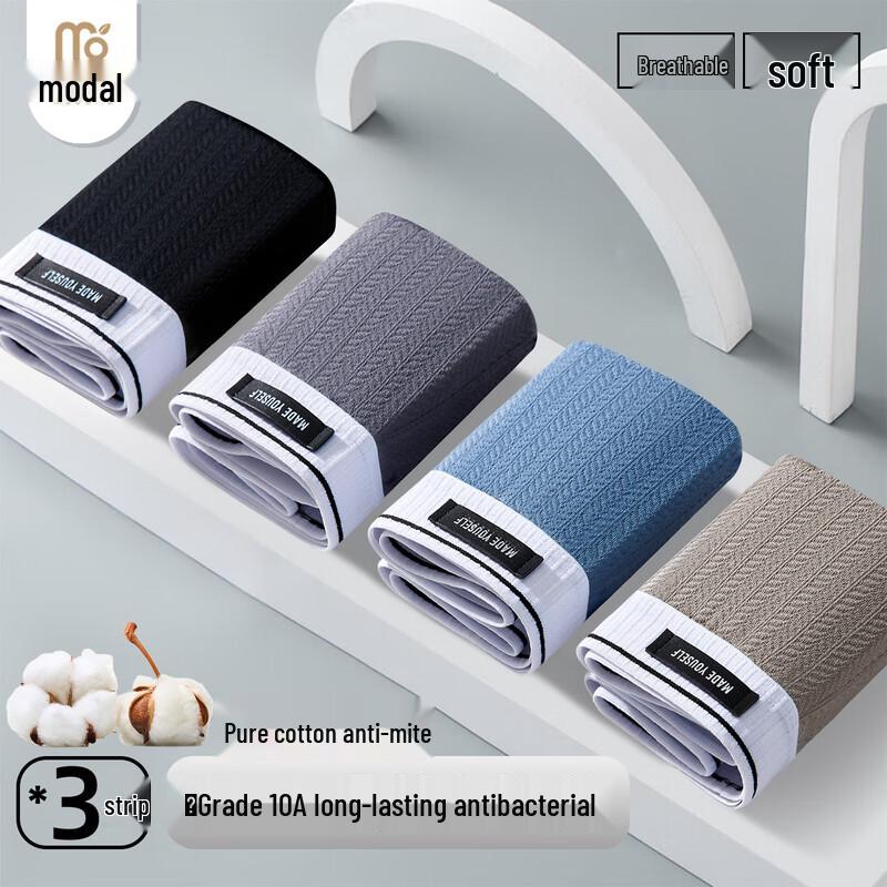 

Мужские боксеры-брифы из модала с антибактериальным эффектом 10A - 3 шт. 4XL