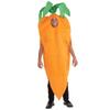 Costumi di Carnevale da uomo