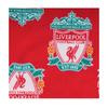 Liverpool FC Baby Boys Born To Play Long Pyjama Set