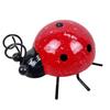 Iron Beetle Seven-Spot Ladybug Succulent Wall Decoration - Holiday Gift