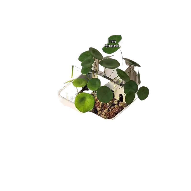 Compact Ecological Fish Tank with 2025 Filter & Oxygenation System