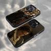 D-DTR R-Rehman Phone Case For iPhone 17,16,15,14,13,12,11 Plus,Pro Max,XS,Colorful Silver Phone Case Funda Cover