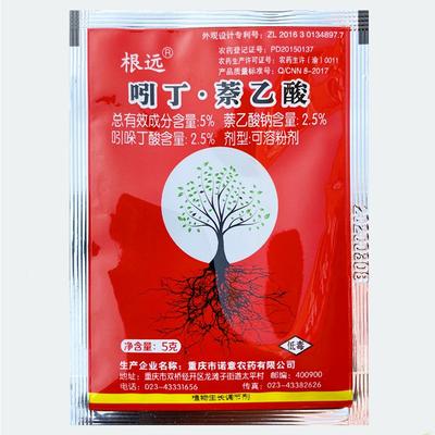 5 % indolsmørsyre planterothormon pulver plantevekstregulator for stiklinger, frøplanter og planteformering av grønnsaker