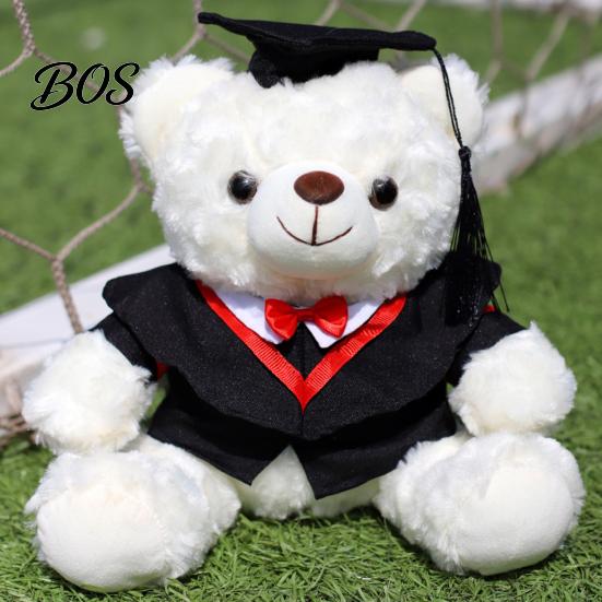 Luxury Gift Packaging Bear Personalized Graduation Gifts 2026 for Her, Cute Teddy with Embroidered Gown Award And Cap, Soft Plush Mascot College High