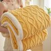 Winter Blanket Taffeta Office Sofa Nap Leisure Blanket Double-Sided Velvet Jacquard Coral Velvet Warm Bed Blanket