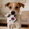 Köpek – Köpek oyuncakları