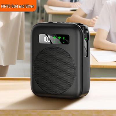 KINYO M12 Portable Voice Amplifier with Wireless Lavalier Microphone CN Plug (adapter Included)