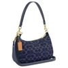 Coach Teri 24 Fascino Logo Classico Tracolla Decorativa Rimovibile Chiusura Superiore con Zip Borsa a Tracolla in Tela e Pelle Media CDQ56-IMTYV