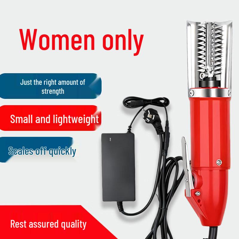 

Electric Fish Scaler