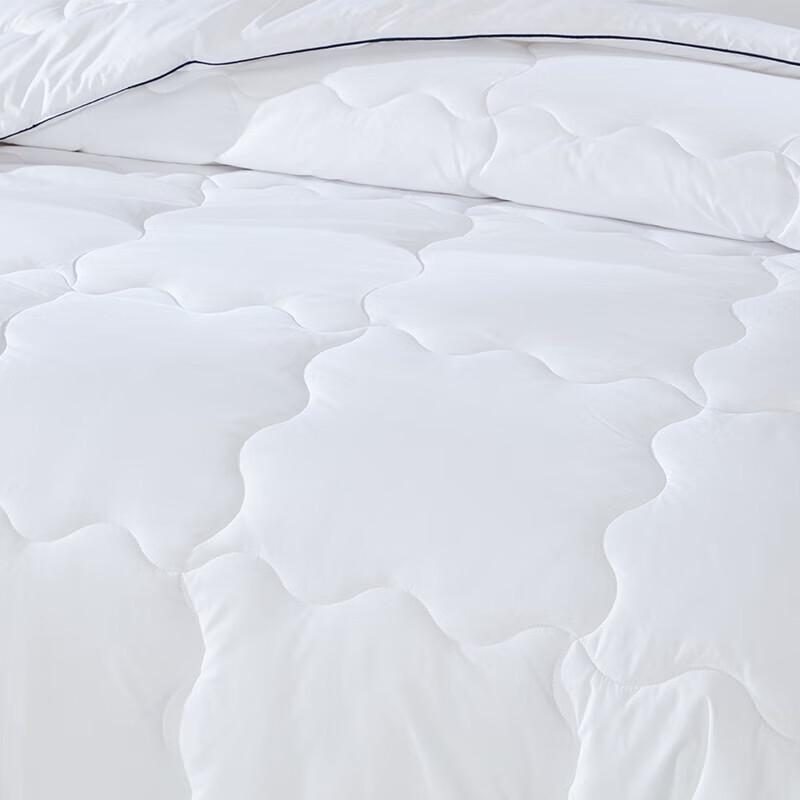 Bobirolly All-Season Microfiber Quilt