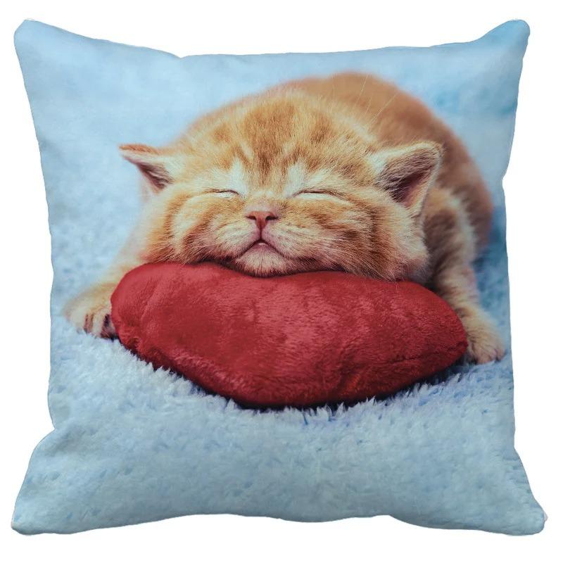 Cute Cat Pattern Decorative Pillowcase Living Room Office Decoration Home Pillowcase
