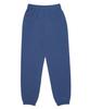 ASTRAL PROJECTION Lettering Logo Comfortable Training Sweat Jogger Pants_Blue