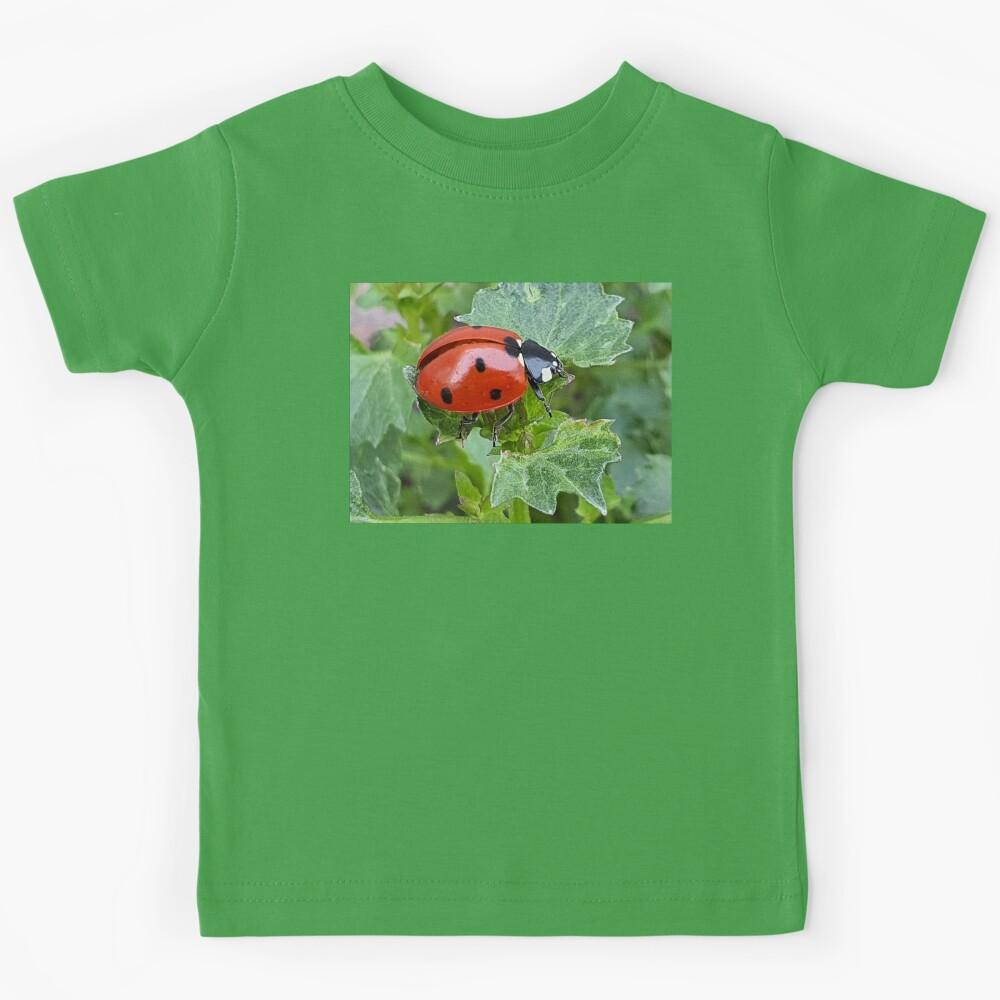 Ladybug on the leaf Kids T-Shirt 100