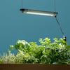 Takasho Plant Grow Light, 27cm, LSB-27K, 5.4cm Deep X 2.6cm High X 27cm Wide