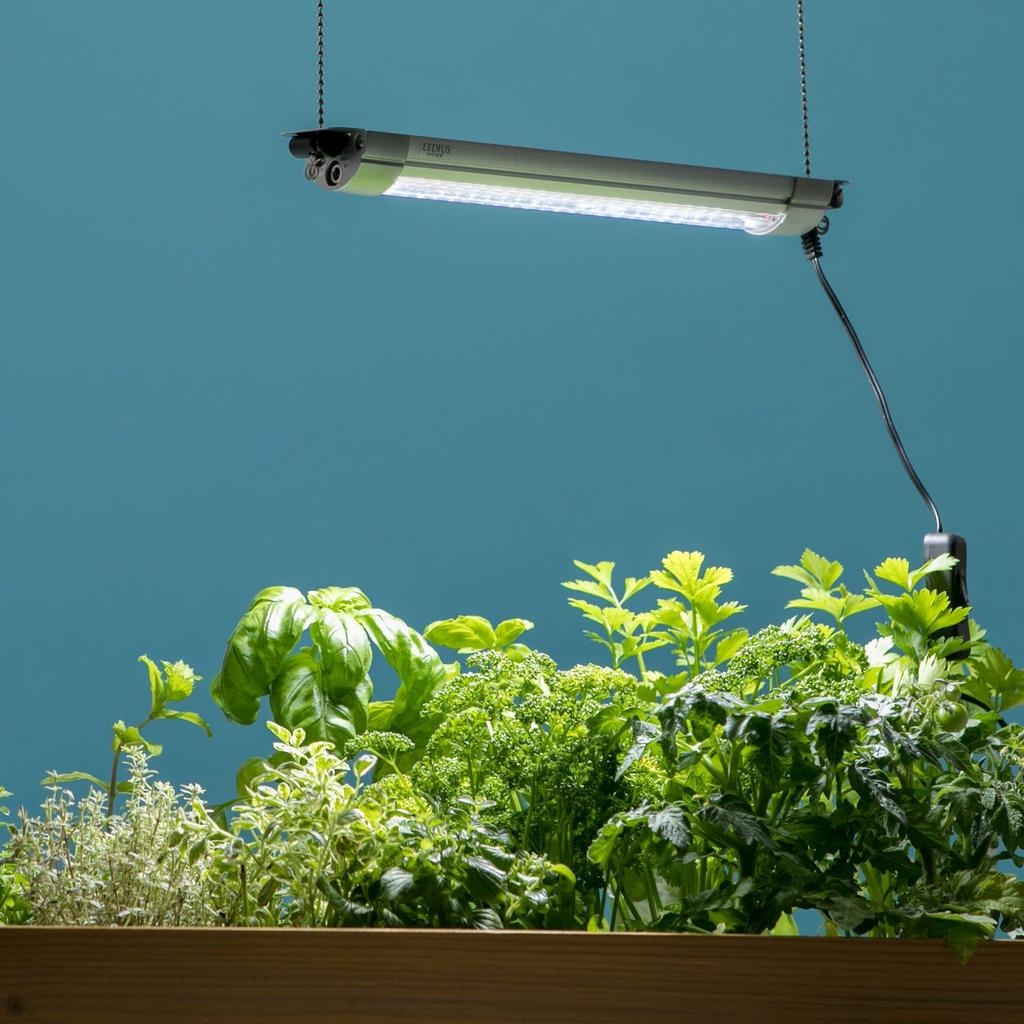 Takasho Plant Grow Light, 27cm, LSB-27K, 5.4cm Deep X 2.6cm High X 27cm Wide