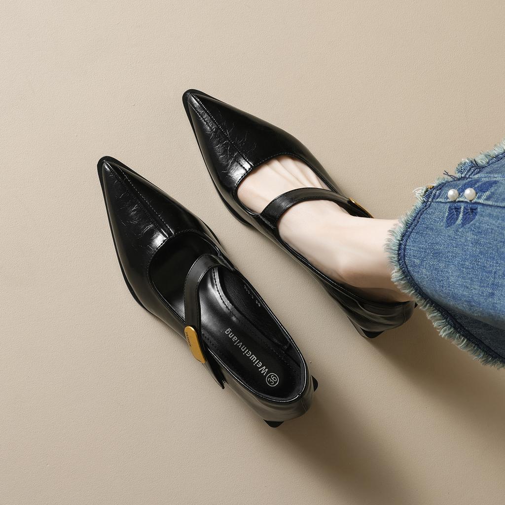 Weiwei Girl 108-3 Pointed Single Shoes Women's Thick Heel with Shallow Mouth Mary Jane Shoes French Temperament High Heels