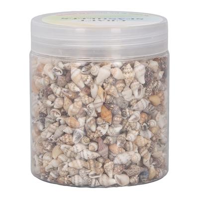 1 Can Tiny Sea Shells Non Porous Natural Spiral Seashells Conch for DIY Fish Tank Landscaping Drift