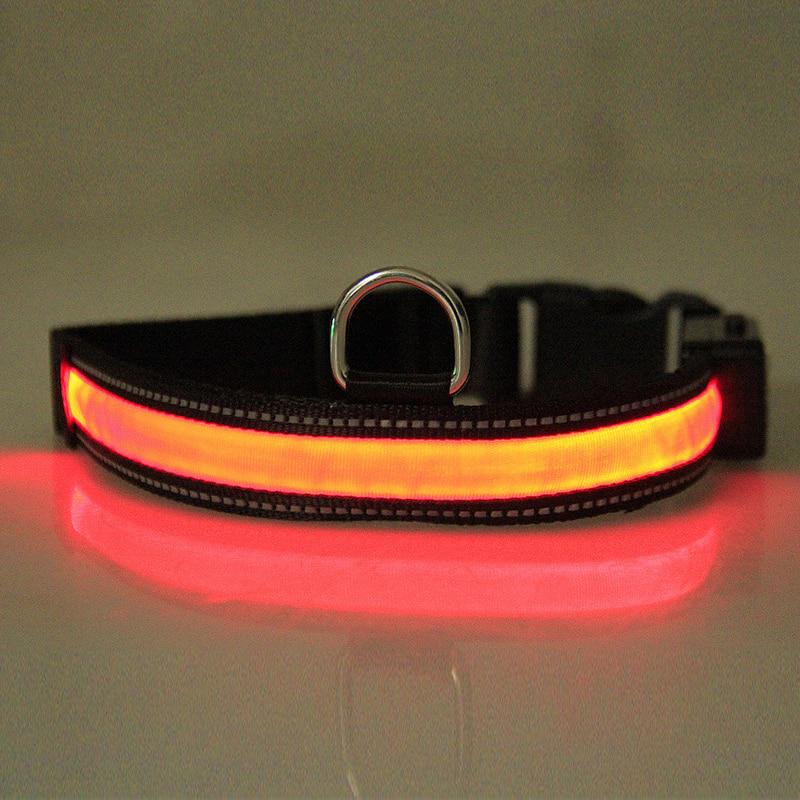 led light dog collar