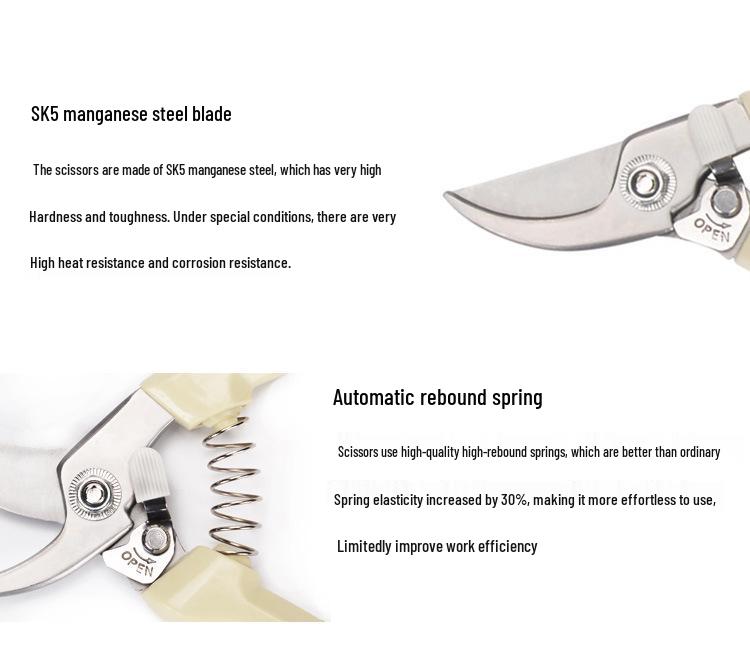 Stainless Steel Pruning Shears - Garden Tools for Branches and Fruit Trees