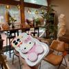 TEMU/Xiyin Phone Case Holder with Makeup Mirror for 13/17PROMAX